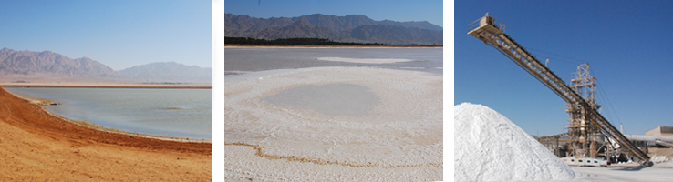 red sea satls harvest-banner