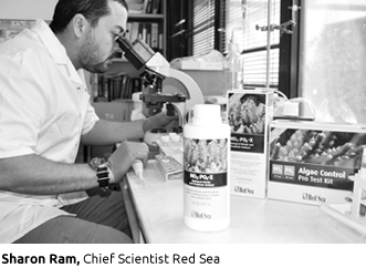 SHaron Ram Chief Scientist